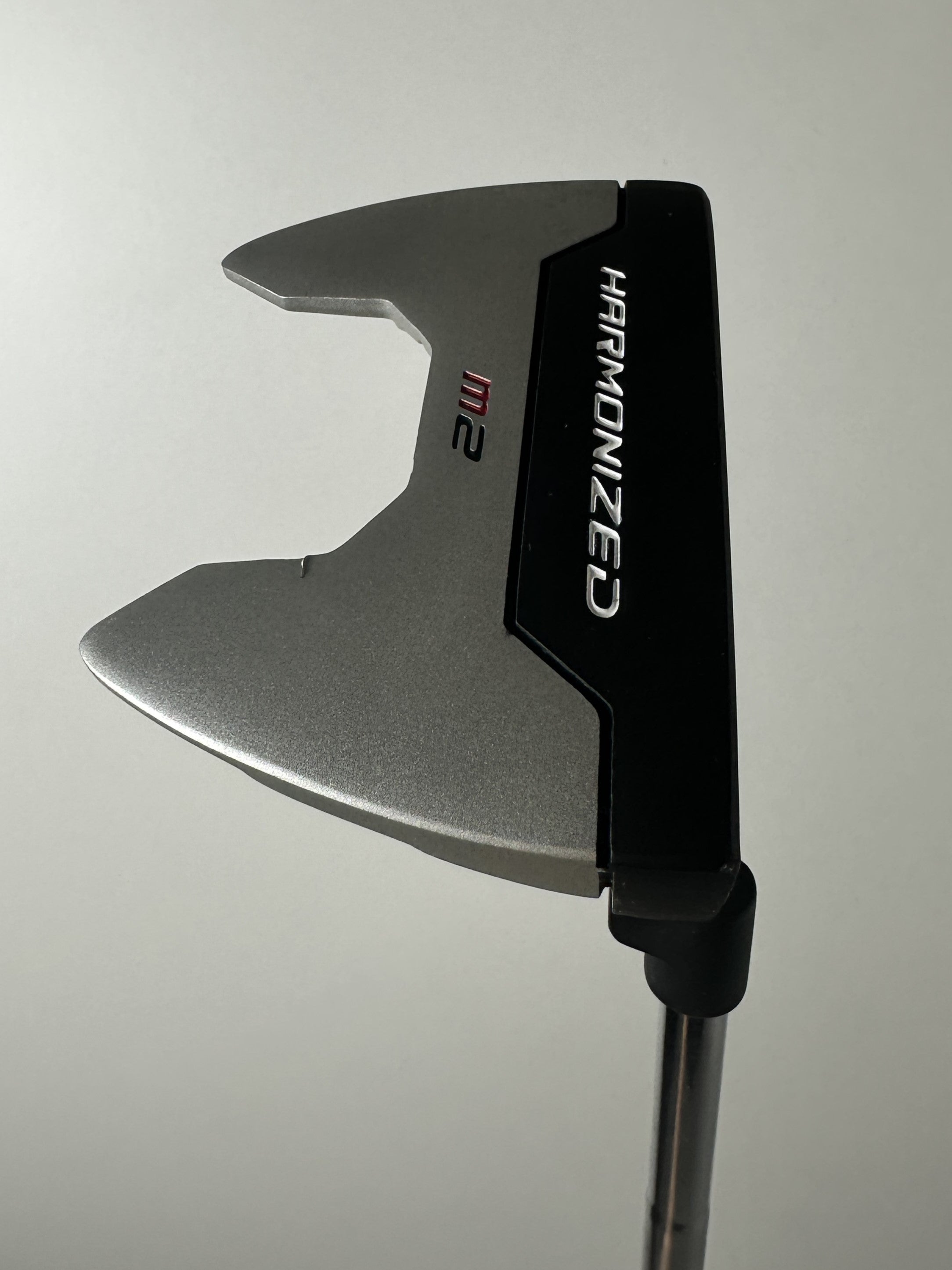 RH Wilson Harmonized M2 Putter