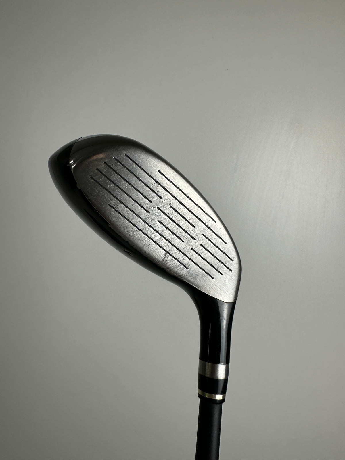 LH Wilson FY Hybrid #3