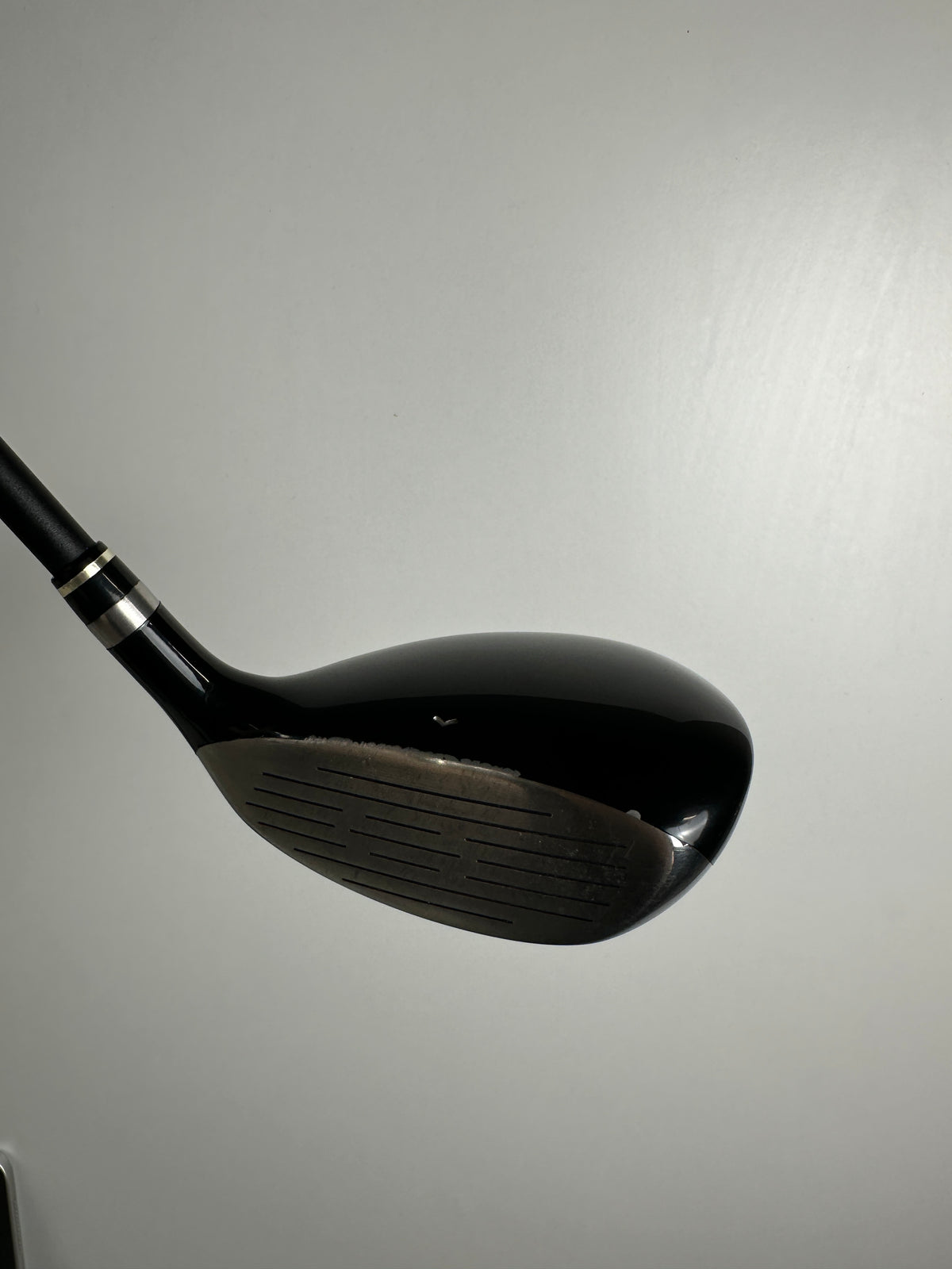 LH Wilson FY Hybrid #3